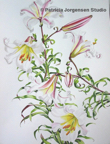 REGALE LILIES, I.S:51x36cm F.S:71x56cm Watercolour ‚Ç¨1,800