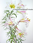 REGALE LILY BELLS, I.S:51x36cm F.S:71x56cm Watercolour ‚Ç¨1,500