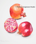 THREE POMEGRANATES, I.S:26x23cm F.S:46x43cm Watercolour ‚Ç¨900