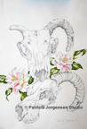 SHEEP SKULLS AND CAMELLIAS, I.S:50x35cm F.S:70x53cm Watercolour 