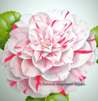 CAMELIA LAVINIA MAGGI, I.S:58x53cm F.S:93x88cm Watercolour ‚Ç¨5,